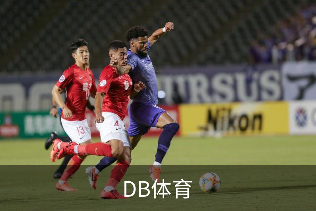 DB体育公司简介